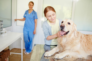 Similar image 12487631