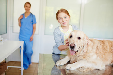 Similar image 12487634