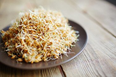 Similar image 12487657