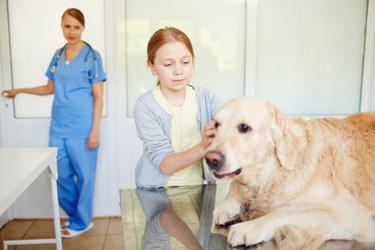 Similar image 12487658