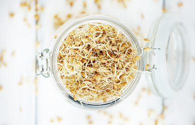 Similar image 12487174