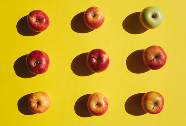 Similar image 12487291