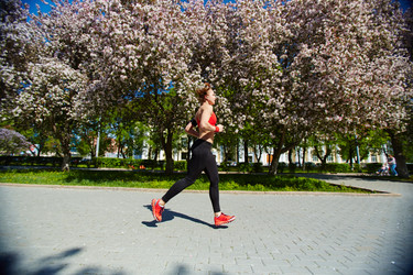 Similar image 12487198