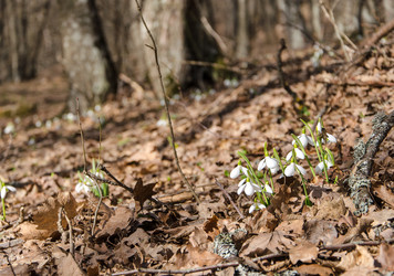 Similar image 12486126