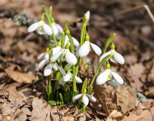 Similar image 12486127