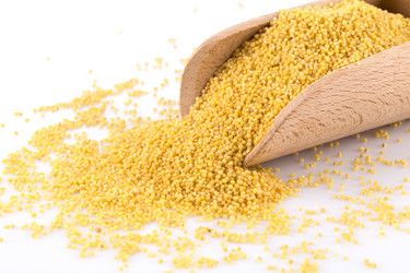 Similar image 12597394