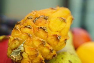 Similar image 12581597