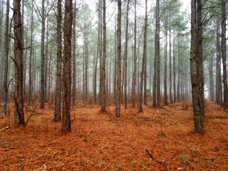 Similar image 12486097