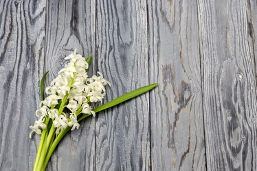 Similar image 12489890