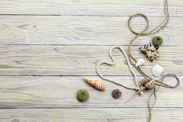 Similar image 12489892