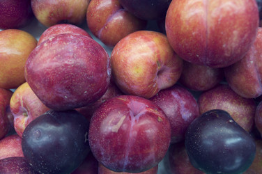 Similar image 12486104