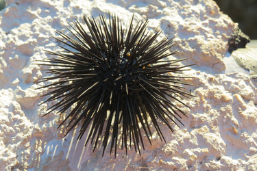 Similar image 12486107