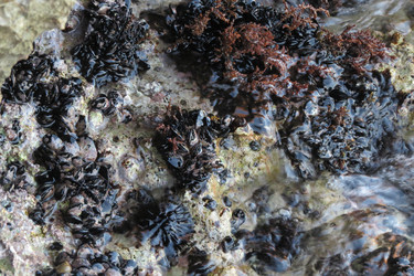 Similar image 12486130