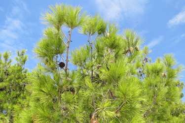 Similar image 12486131