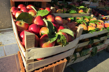 Similar image 12486133