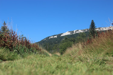 Similar image 12486110