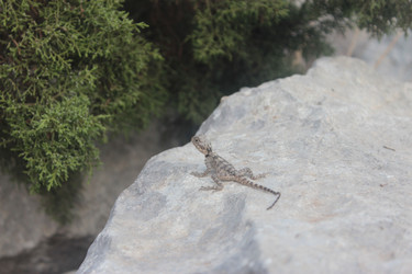 Similar image 12486112