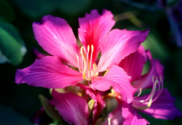 Similar image 12687368