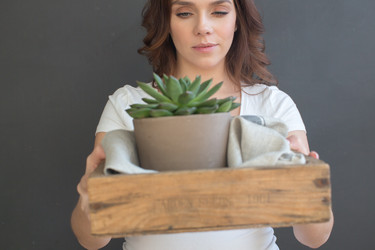 Similar image 12687992