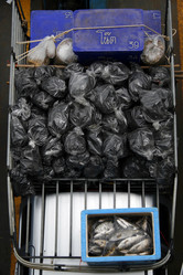 Similar image 12688003