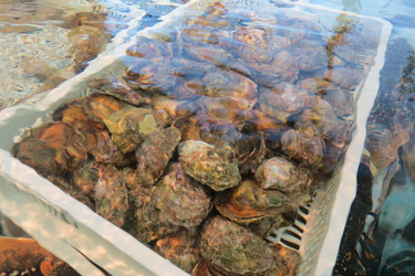 Similar image 12489743