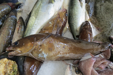 Similar image 12489744