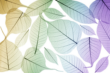 Similar image 12489691