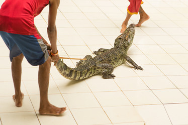 Similar image 12489966