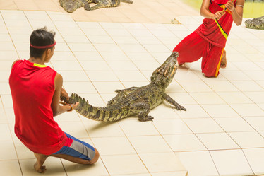 Similar image 12489967