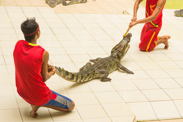 Similar image 12489968