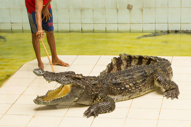 Similar image 12489971