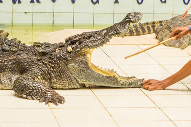 Similar image 12489973