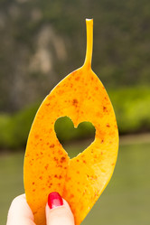 Similar image 12489977