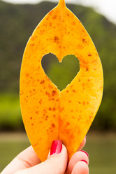 Similar image 12489978