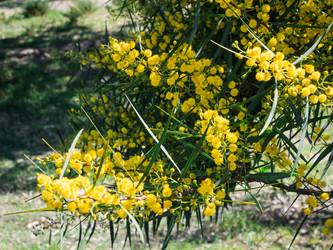 Similar image 12489849