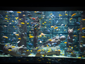 Similar image 12489850