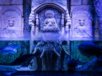 Similar image 12489851