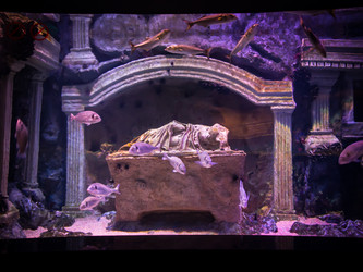 Similar image 12489852