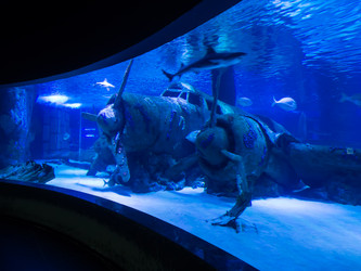 Similar image 12489854