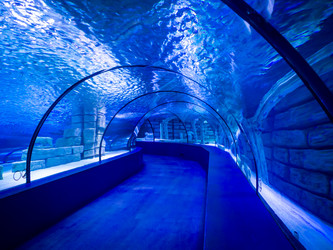 Similar image 12489856