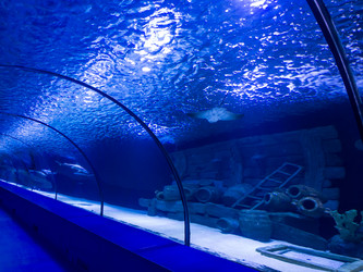 Similar image 12489857