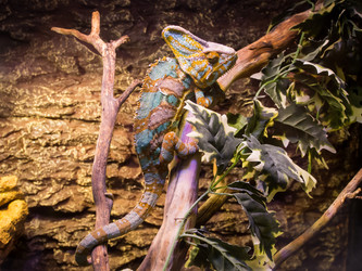 Similar image 12489861