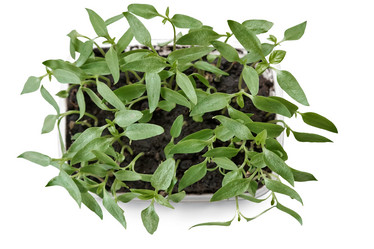 Similar image 12580886