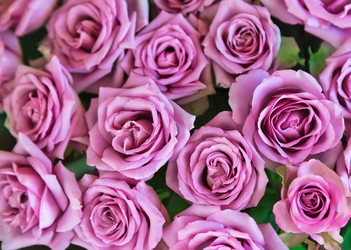 Similar image 12580910