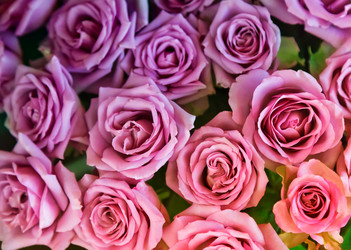 Similar image 12580912