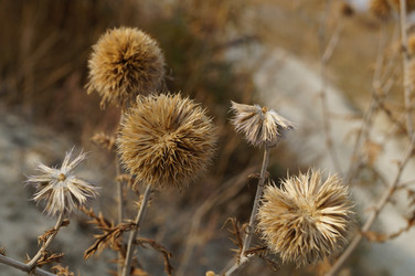 Similar image 12580400