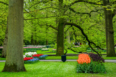 Similar image 12594477