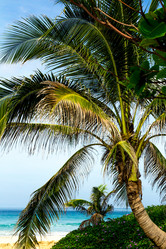 Similar image 12687808