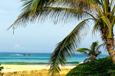 Similar image 12687809