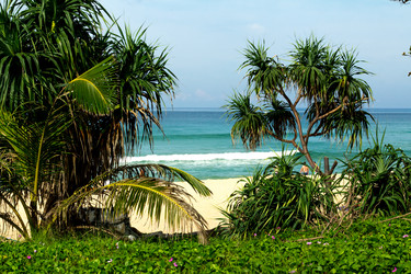 Similar image 12687820